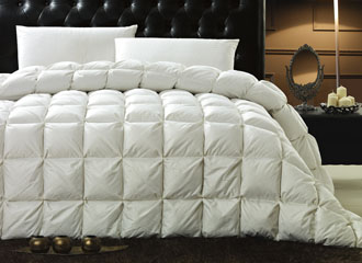 �nʽ�����q��