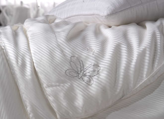 ��z�Q�z��