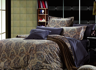 ����˹����