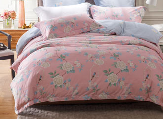 ���g�������ۣ�