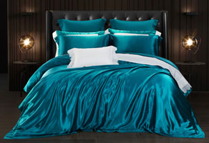 �ذ���z�׼� -��ȸ�{