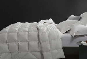 �ʹ��Z�q��