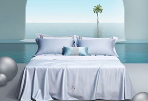 ���Z(y��)��zܛ��ϯ-����֮ҹ